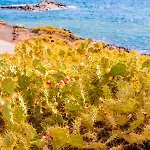 Exclusive Oceanfront With Pool & Golf Views Дом отдыха Сан Мигель