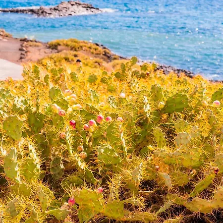 Oceanfront - Amarilla Breeze Semesterbostad San Miguel de Abona