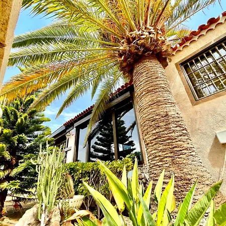 Semesterbostad Oceanfront - Amarilla Breeze