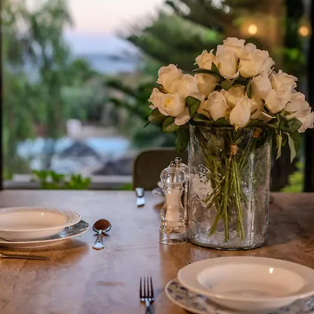 Oceanfront - Amarilla Breeze Ferienhaus *