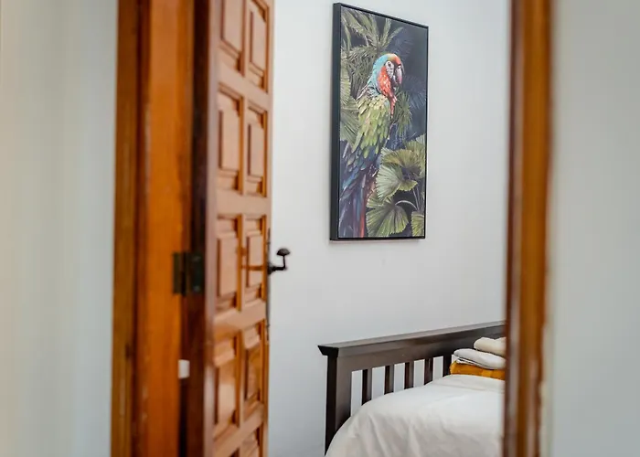 Oceanfront - Amarilla Breeze *