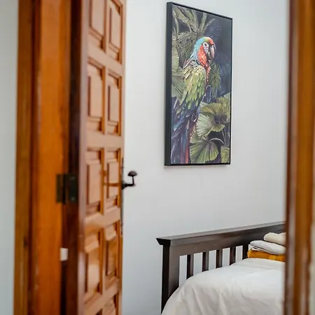 Oceanfront - Amarilla Breeze *