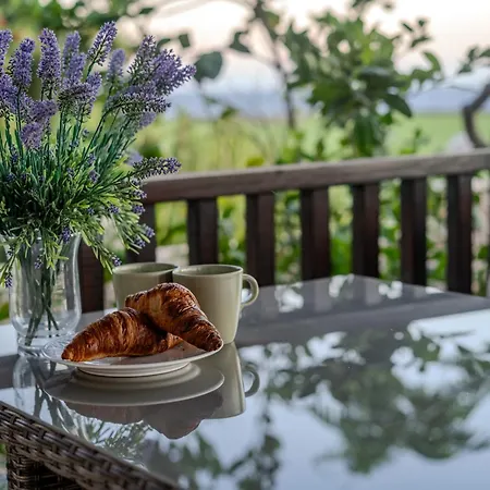 Oceanfront - Amarilla Breeze Дом отдыха