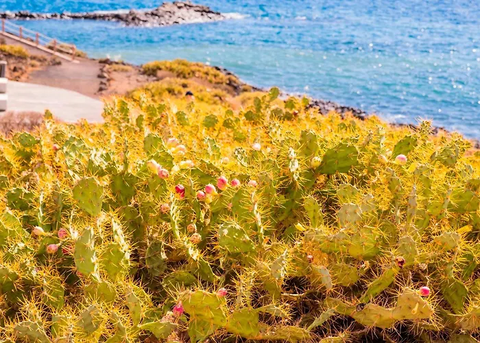 Oceanfront - Amarilla Breeze Hébergement de vacances San Miguel de Abona