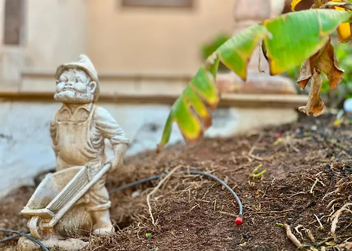 Hébergement de vacances Oceanfront - Amarilla Breeze *