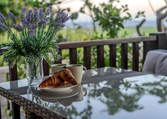 Oceanfront - Amarilla Breeze Dom wakacyjny