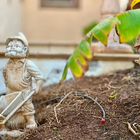 Сasa de vacaciones Oceanfront - Amarilla Breeze *