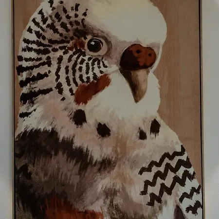 Oceanfront - Amarilla Breeze Сasa de vacaciones *